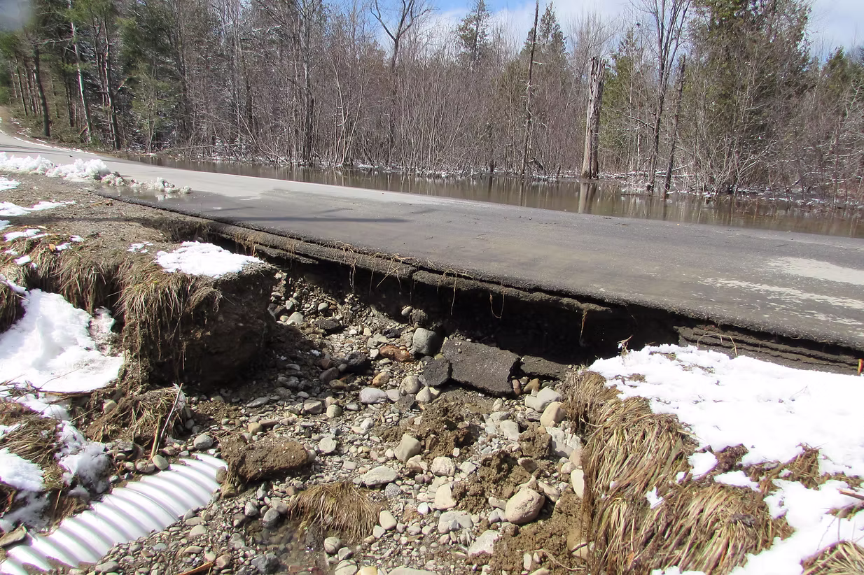 Beaver Damage - Tar Ridge Rd Prentiss